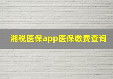 湘税医保app医保缴费查询