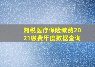 湘税医疗保险缴费2021缴费年度数据查询