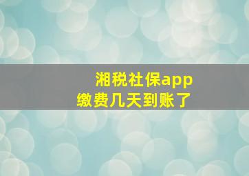 湘税社保app缴费几天到账了