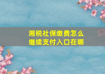 湘税社保缴费怎么继续支付入口在哪