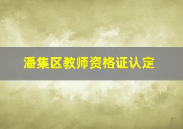 潘集区教师资格证认定