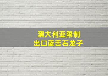 澳大利亚限制出口蓝舌石龙子