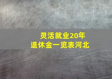 灵活就业20年退休金一览表河北