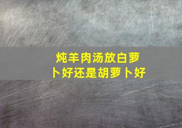 炖羊肉汤放白萝卜好还是胡萝卜好