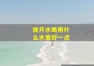 烧开水喝用什么水壶好一点