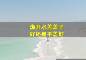 烧开水盖盖子好还是不盖好