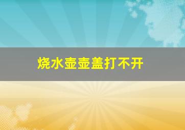 烧水壶壶盖打不开