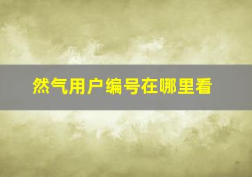 然气用户编号在哪里看