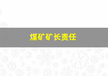 煤矿矿长责任