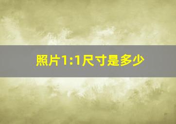 照片1:1尺寸是多少