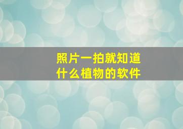 照片一拍就知道什么植物的软件