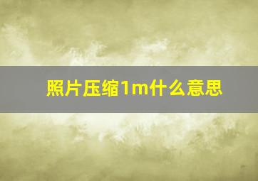 照片压缩1m什么意思