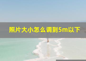 照片大小怎么调到5m以下