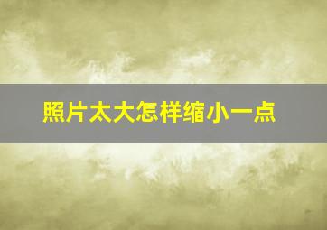 照片太大怎样缩小一点