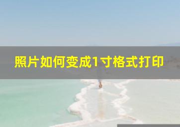 照片如何变成1寸格式打印