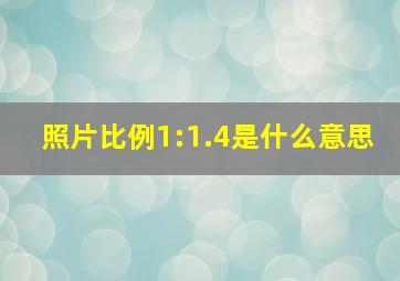 照片比例1:1.4是什么意思