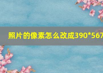 照片的像素怎么改成390*567