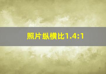 照片纵横比1.4:1