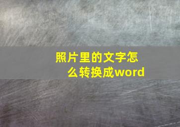 照片里的文字怎么转换成word