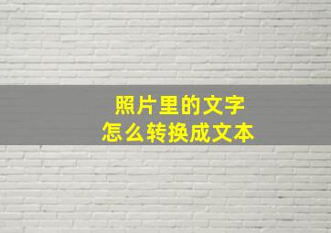 照片里的文字怎么转换成文本