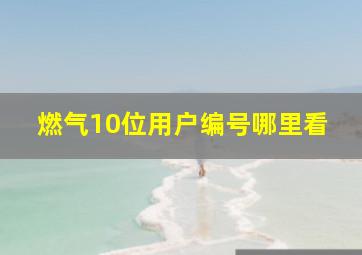 燃气10位用户编号哪里看