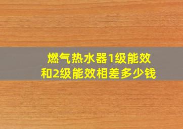 燃气热水器1级能效和2级能效相差多少钱