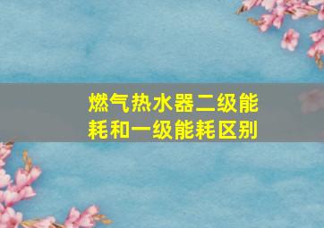 燃气热水器二级能耗和一级能耗区别