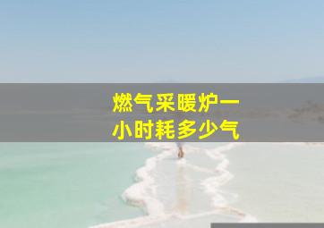 燃气采暖炉一小时耗多少气