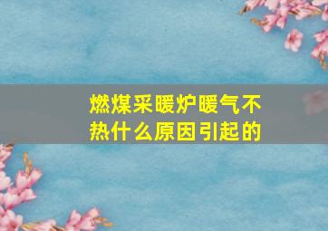 燃煤采暖炉暖气不热什么原因引起的