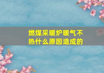 燃煤采暖炉暖气不热什么原因造成的