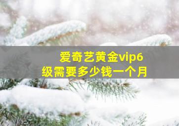 爱奇艺黄金vip6级需要多少钱一个月