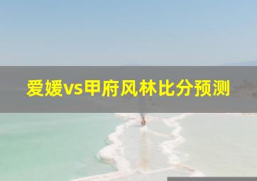 爱媛vs甲府风林比分预测