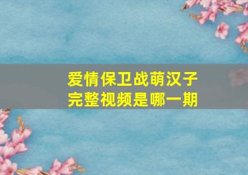 爱情保卫战萌汉子完整视频是哪一期