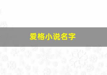 爱格小说名字