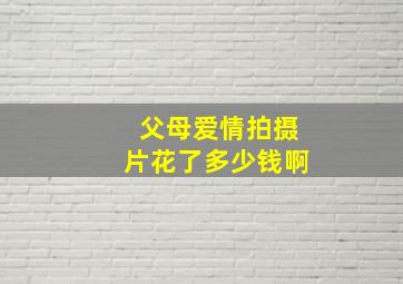 父母爱情拍摄片花了多少钱啊