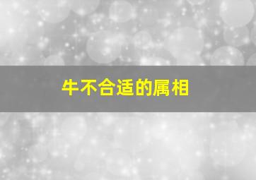 牛不合适的属相