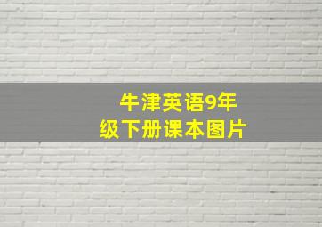 牛津英语9年级下册课本图片