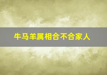 牛马羊属相合不合家人