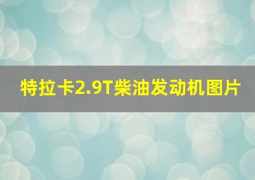 特拉卡2.9T柴油发动机图片