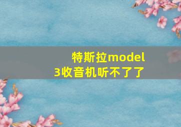 特斯拉model3收音机听不了了