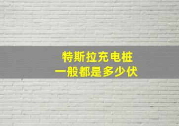 特斯拉充电桩一般都是多少伏