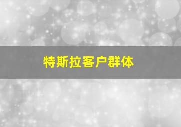 特斯拉客户群体