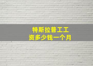 特斯拉普工工资多少钱一个月