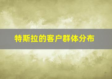 特斯拉的客户群体分布