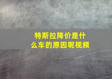 特斯拉降价是什么车的原因呢视频