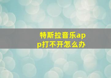 特斯拉音乐app打不开怎么办