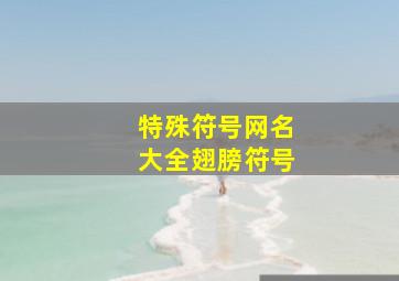 特殊符号网名大全翅膀符号