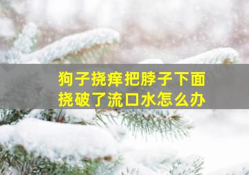 狗子挠痒把脖子下面挠破了流口水怎么办