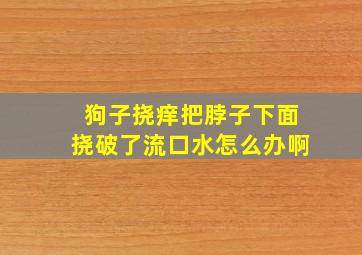 狗子挠痒把脖子下面挠破了流口水怎么办啊