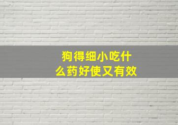 狗得细小吃什么药好使又有效